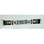 PRI Schal Sturm Graz, Ultras