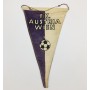Wimpel Austria Wien, Meister 1968/1969
