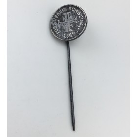 Pin TV Schweinau (GER)