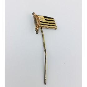 Pin Sturm Graz