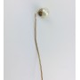 Pin unbekannt