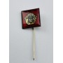 Pin BSG Aktivist Dissenchen (GER)