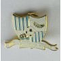 Pin Salfords FC (ENG)