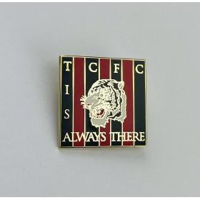 Pin aus England, Verein unbekannt (ENG)