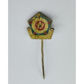 Pin Slovan Bratislava (SVK)