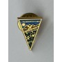 Pin Club Polideportivo Ejido (ESP)