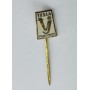 Pin Tesla Pardubice (CZE)