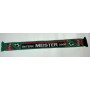 Schal Wacker Innsbruck, Champions League & Meister 2000