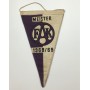 Wimpel Austria Wien, Meister 1968/69