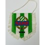 Wimpel Rapid Wien (AUT)