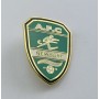 Pin AFC Newbury (ENG)