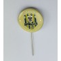 Pin Slezský FC (CZE)