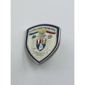 Pin SCM Pitești (ROM)