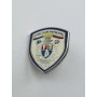 Pin SCM Pitești (ROM)