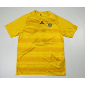 Trikot Niederösterreichischer Fussballverband, Large,  Nr. 17