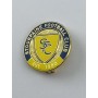 Pin Stourpaine FC (ENG)