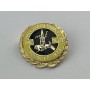 Pin Halesowen Town FC (ENG)