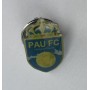Pin FC Pau (FRA)