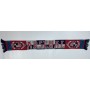 Schal Arsenal London (ENG)