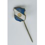 Pin FC Ottering (GER)