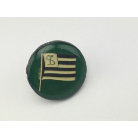 Pin Sturm Graz