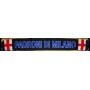 Schal Inter Mailand, FC Internazionale (ITA), Padroni