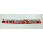Schal FC Thun (SUI)