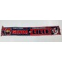 Schal CFC Genoa 1893 (ITA) - OSC Lille (FRA), 2009