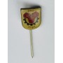 Pin BSG Suhl (GER)
