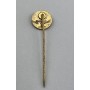 Pin aus Deutschland, Verein unbekannt