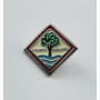 Pin Club Esportiu Olímpic Móra d'Ebre (ESP)