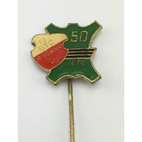 Pin TJ BTC Bosany (CZE)