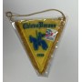 Wimpel Chievo Verona (ITA)