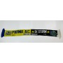 copy of PRI Sturm Graz - AC Parma, 1999
