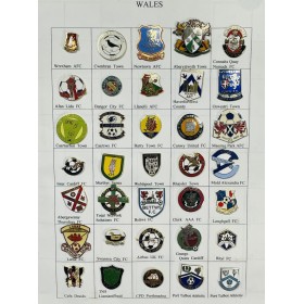 Pinkonvolut/Pinsammlung Wales, 46 Stück