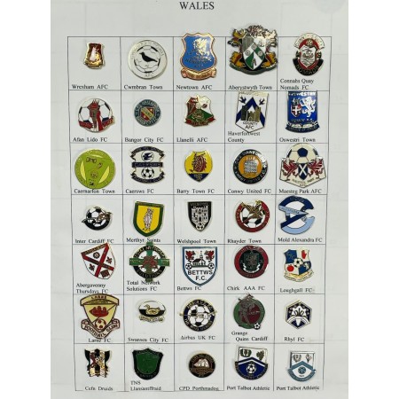 Pinkonvolut/Pinsammlung Wales, 46 Stück
