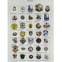 Pinkonvolut/Pinsammlung Wales, 46 Stück