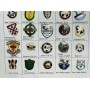 Pinkonvolut/Pinsammlung Wales, 46 Stück