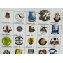 Pinkonvolut/Pinsammlung Wales, 46 Stück