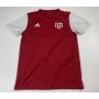 Trikot SV Wörgl (AUT), Small