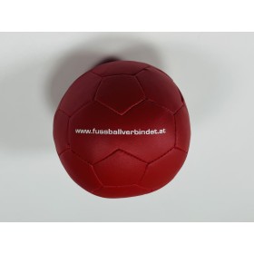 Softball Euro Österreich-Schweiz 2008, Fussball verbindet