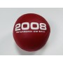 Softball Euro Österreich-Schweiz 2008, Fussball verbindet