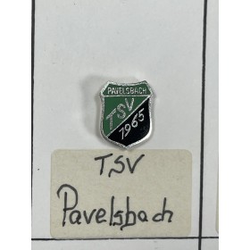 Pin TSV Pavelsbach (GER)