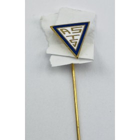 Pin Verein unbekannt