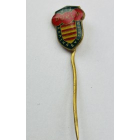 Pin FK Dukla Banská Bystrica (SVK)