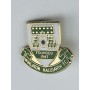 Pin Winlaton Hallgarth FC (ENG)