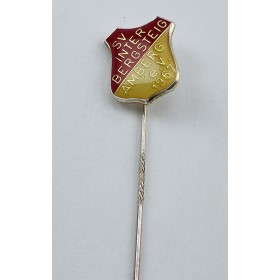 Pin SV Inter Bergsteig Amberg (GER)