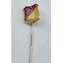 Pin SV Inter Bergsteig Amberg (GER)