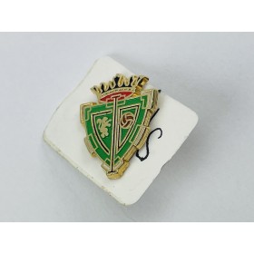 Pin CD Iruña (ESP)