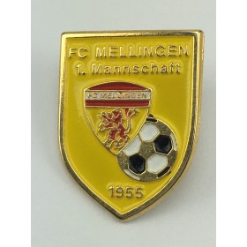 Pin FC Mellingen (SUI)